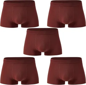 Andongnywell Men's Sexy Ice Silk Boxer Briefs Underwear Seamless Breathable Short Leg Underpants 5 Pack Knickers