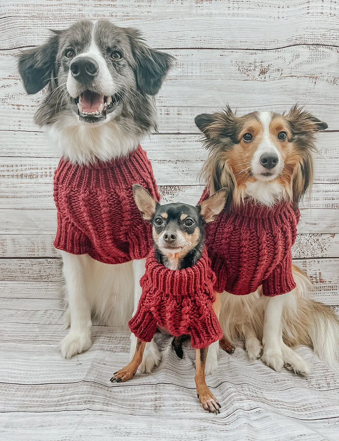 Dog Cable Knit Sweater - Maroon