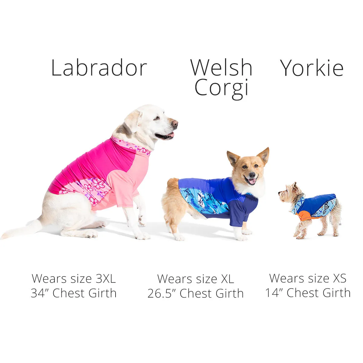 Dog Sun Shirt - White (Made in USA)
