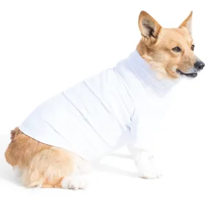 Dog Sun Shirt - White (Made in USA)