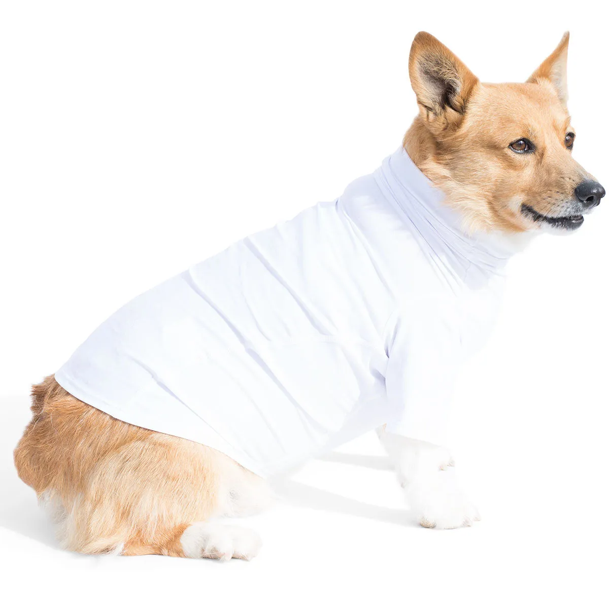 Dog Sun Shirt - White (Made in USA)