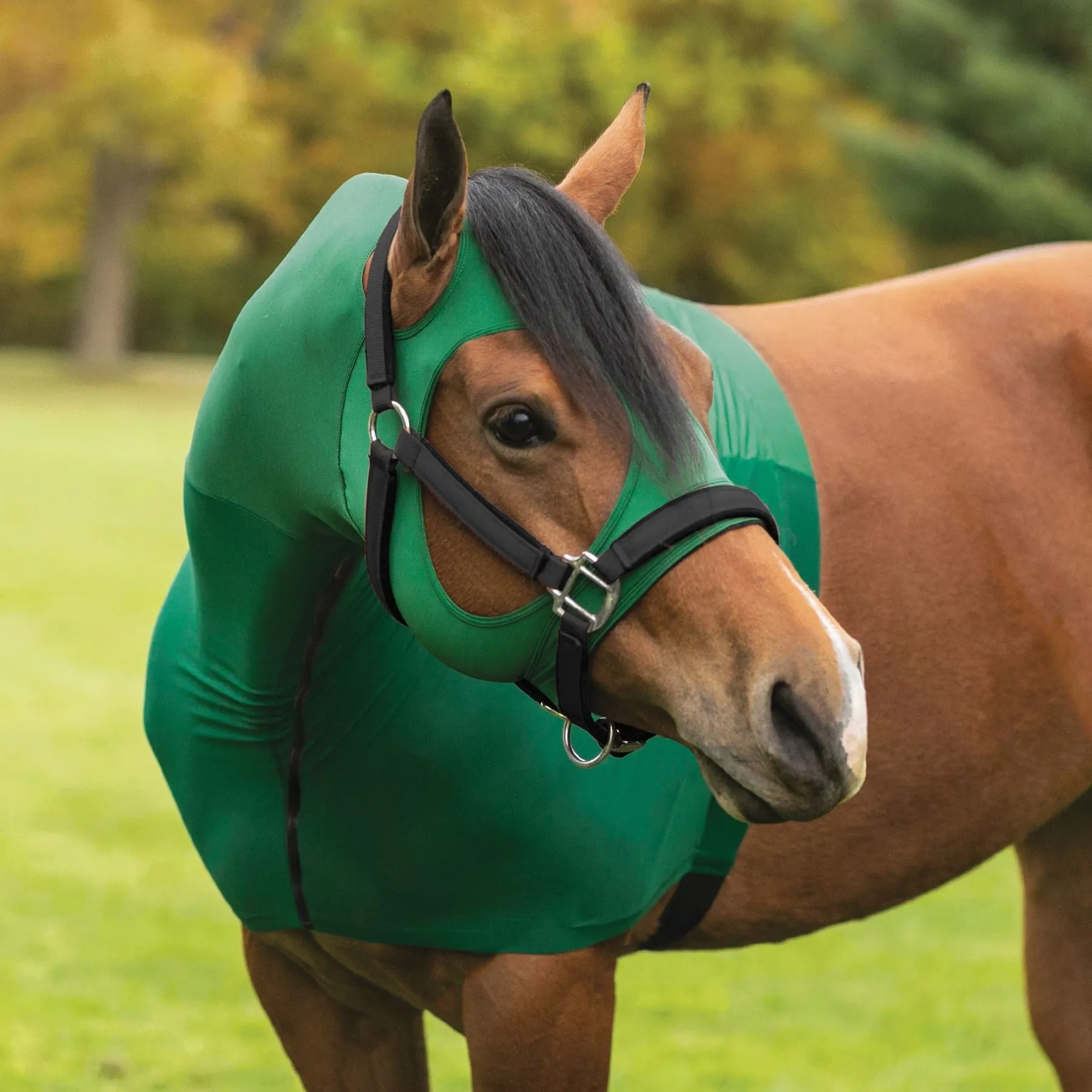 Jammies Hood with Zip