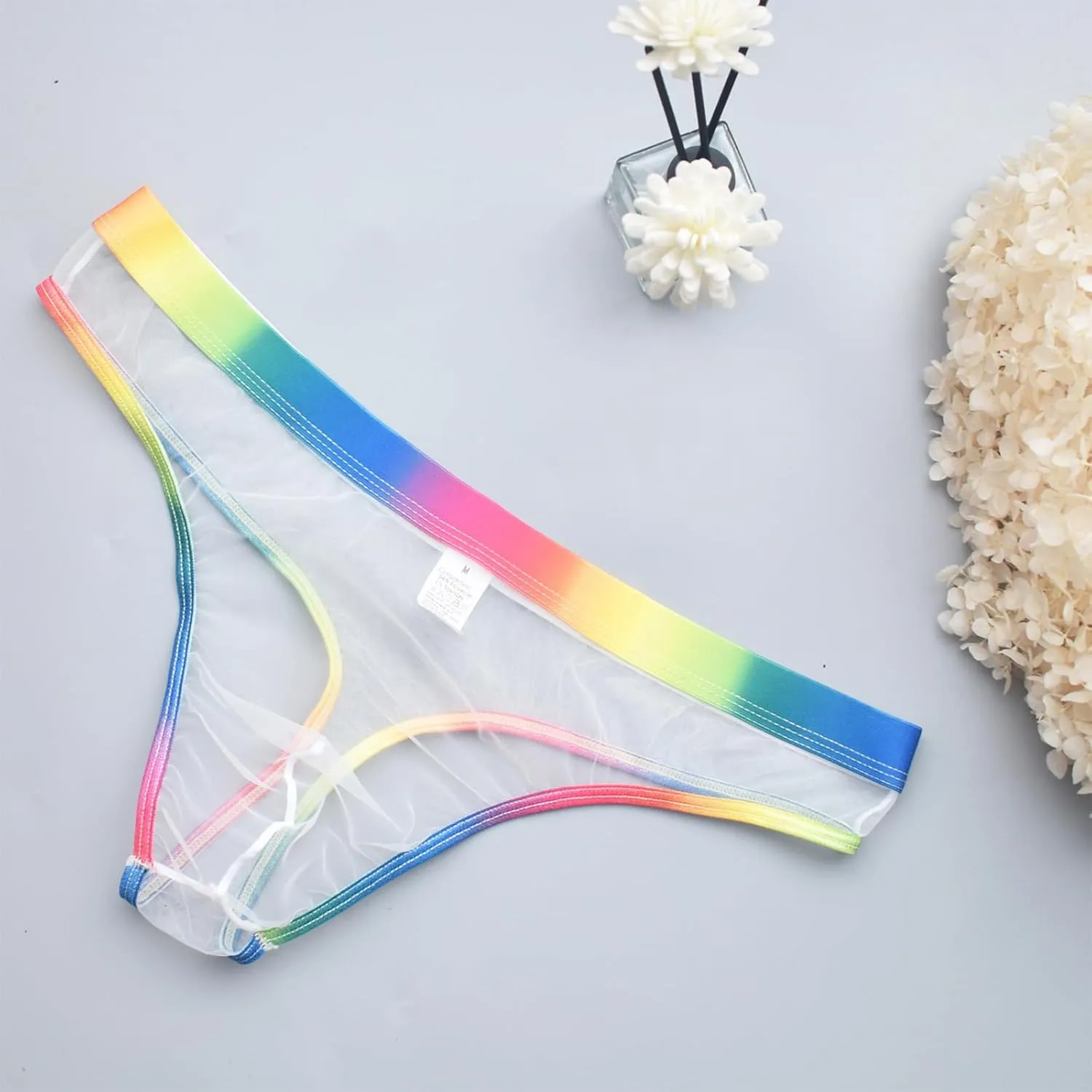 Men's Gay Pride Sexy Underwear Mesh See Through Briefs Rainbow Sheer Thongs Mens Naughty T Back Breathable Lingerie