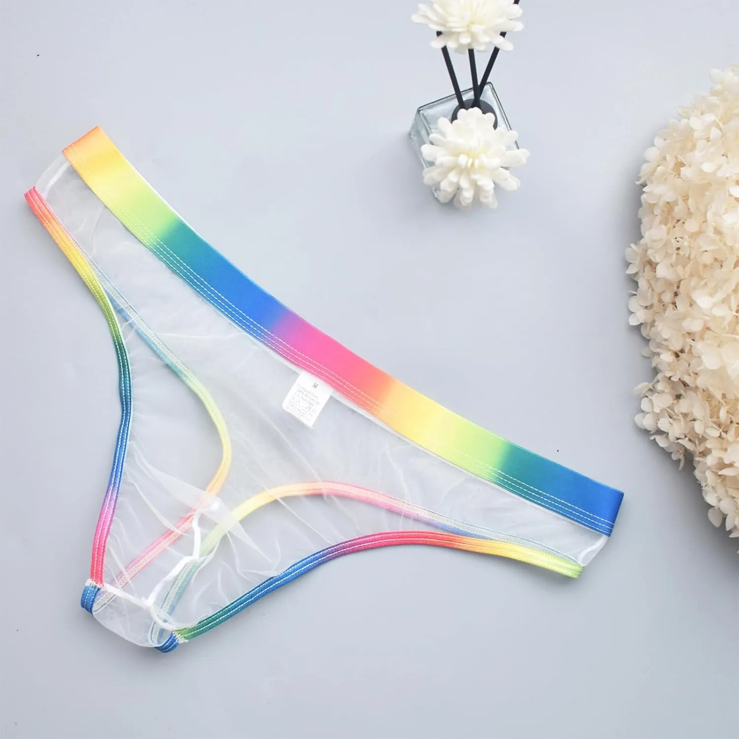 Men's Gay Pride Sexy Underwear Mesh See Through Briefs Rainbow Sheer Thongs Mens Naughty T Back Breathable Lingerie
