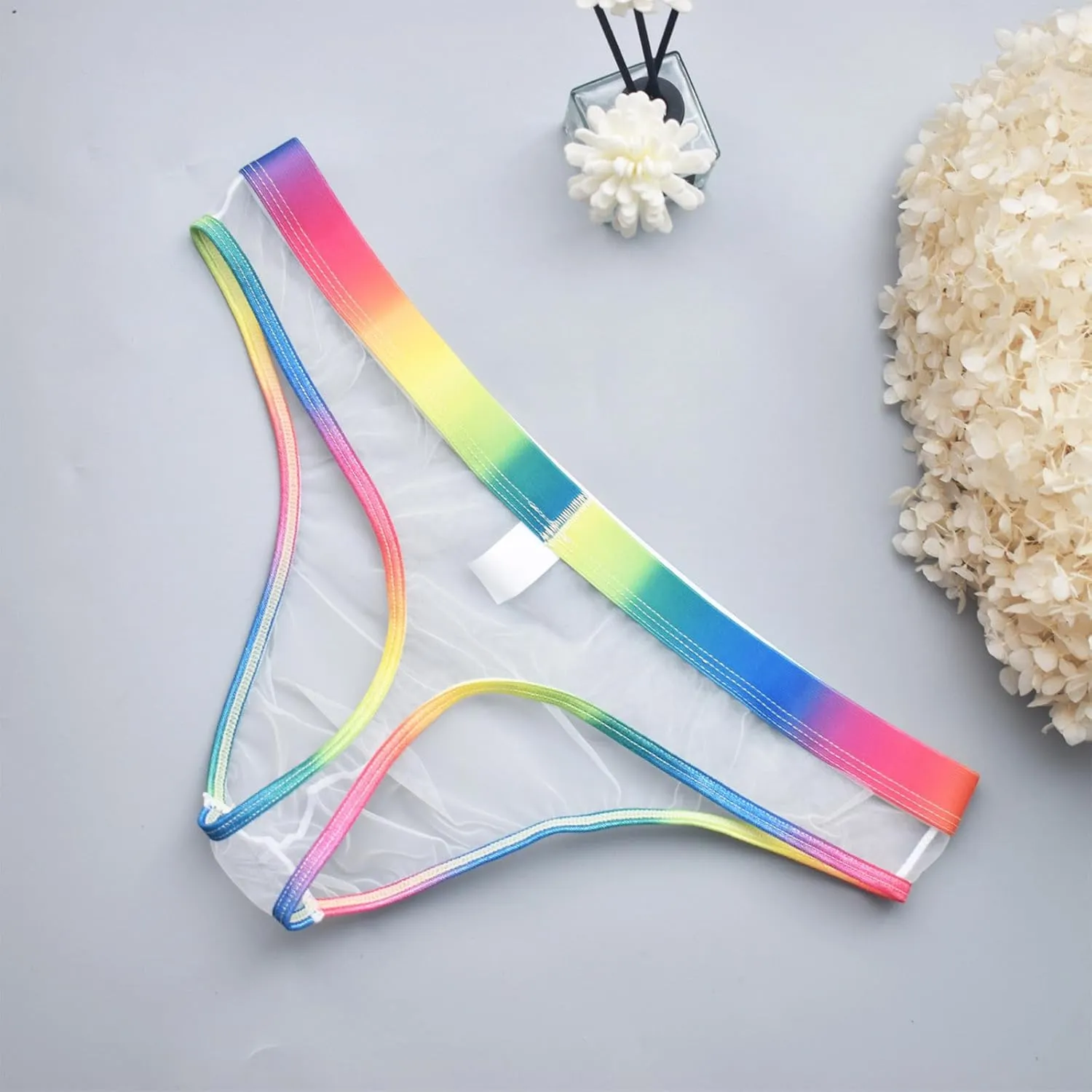 Men's Gay Pride Sexy Underwear Mesh See Through Briefs Rainbow Sheer Thongs Mens Naughty T Back Breathable Lingerie