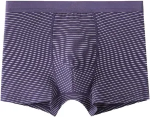 Men's Thong Underwear Thong G-String Underpants Mesh Thongs Breathable Briefs Bikini Sexy Lingerie