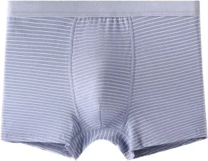Men's Thong Underwear Thong G-String Underpants Mesh Thongs Breathable Briefs Bikini Sexy Lingerie